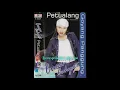 Download Lagu Petualang Voc Cucu Cahyati
