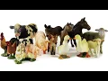 Download Lagu Suara binatang - Sapi, gajah, ayam, bebek, kucing, kelinci, elang, kambing - suara hewan