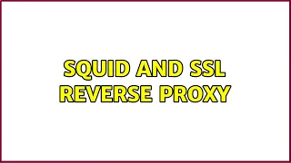 Squid and SSL Reverse Proxy 2 Solutions
