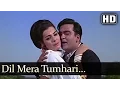 Download Lagu Gauri  - Dil Mera Tumhari - Mohd Rafi