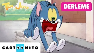 Bir Saatlik Kedi Fare Kapışması 🐱🐭 | TOM VE JERRY | @CartoonitoTurkiye
