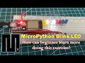 MicroPython - How to Blink an LED and More