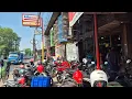 Download Lagu Prenjak Jalak Cendet Platuk Glatik Trucuk Sirpu Mandarin SRDC Anis Kenari LB Murai Emje Zebra Suren