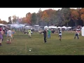 Harvest fest