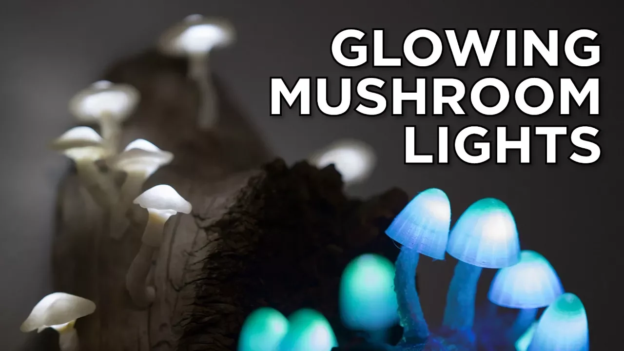 Mushroom Caps for Glowing Mushroom Light
