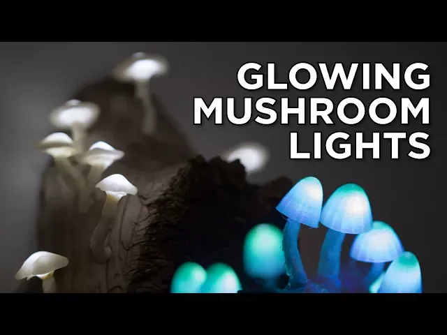 Mushroom Caps for Glowing Mushroom Light video thumbnail