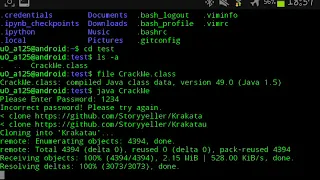 JAVA CODE TECHNIQUE PASSWORD VALIDATION TEST