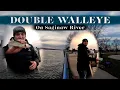 DOUBLE WALLEYE on Saginaw River