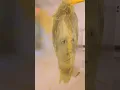 Ed Sheeran Subtract Paint by Number Mural 8 x8