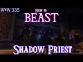 How to DPS as a Shadow Priest in 3 3 5