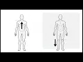 Anatomical Terminology and Bony Landmarks Like share and subscribe