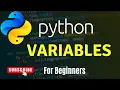 Learn Python Variable Declaration Comments and Indentation Python For Beginners Lecture - 03