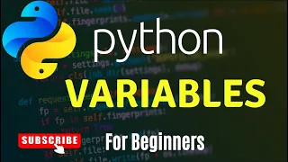 Learn Python Variable Declaration Comments and Indentation Python For Beginners Lecture - 03