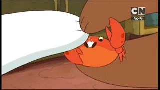 التالي بعد الفاصل الدببة الثلاثة كرتون نتورك بالعربية 