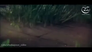 المنشد حسن علامة يا طير يلي مهاجر عيد المولد النبوي الشريف كل عام وانتم بخير 