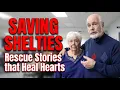 Saving Shelties Inside a Foster-First Rescue That s Changing Lives
