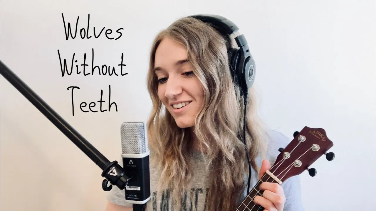 Wolves Without Teeth - Of Monsters and Men (Cover)