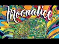 Moonalice Rancho Nicasio in Nicasio CA 2019-08-02