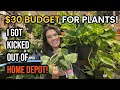 30 BUDGET for Plants Getting Kicked Out of Home Depot Big Box Plant Shopping - Lowe s