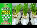 Download Lagu MENANAM BAWANG PUTIH PADA BOTOL BEKAS - INSPIRASI BERTANI DIRUMAH - PETANI MILENIAL