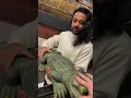 Download Lagu oh u wanna touch my alligator? @clo #shorts