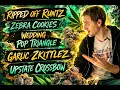 Medical Cannabis Strain Review Pain Relief Taste Test 5 Strains in One