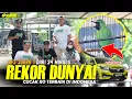 REKOR DUNYA‼️ CUCAK IJO TERBAIK 34x JUARA 1