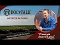 DocTalk Ep 359 - Metritis in Cows with Dr Nora Schrag