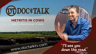 DocTalk Ep 359 - Metritis in Cows with Dr Nora Schrag
