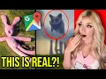 The WEIRDEST Things Found on Google Maps