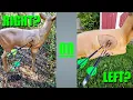 Right or Left fletch Which way to fletch your hunting arrows