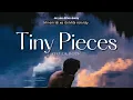 Download Lagu Vietsub | Tiny Pieces - ONE OK ROCK | Lyrics Video