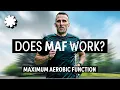 Why Should You Run With A Low Heart Rate