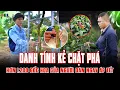 Lagu MẤT SẠCH SAU 1 ĐÊM: Hàng ngàn gốc HOA BỊ CHẶT PHÁ sát Tết, BẮT KẺ ĐỨNG SAU?