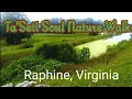 Raphine Virginia