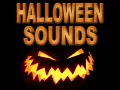Scary Trick or Treat - Halloween Songs