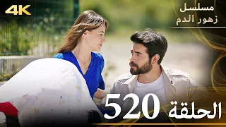 الحلقة 520 مسلسل زهور الدم مدبلج بالعربية Kan Çiçekleri جودة 4K  الحلقة 520 مسلسل زهور الدم مدبلج بالعربية Kan Çiçekleri جودة 4K