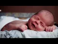 Download Lagu Mozart for Babies Intelligence Stimulation ♫ Baby Sleep Music ♥ Bedtime Lullaby For Sweet Dreams