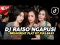 Download Lagu DJ RAISO NGAPUSI BREAKBEAT PLAT KT VIRAL TERBARU 2024