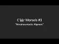 C a a r Morsels Morphosyntactic Alignment