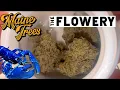 Trying Maine Trees Blue Lobster Cannabis and Coffee Reviews The Flowery