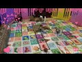 Holly Jolly Schnauzers puppy playtime