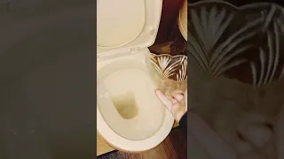 بملعقة واحدة هتتغير نتيجه الحمام 