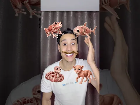 حيوانات بدون ملابس ؟ ٢ 😂
