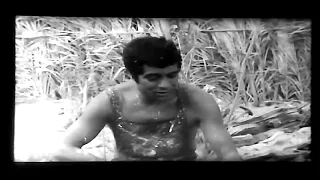 فیلم ایران قدیم Nefrin نفرين ۱۳۵۲ 