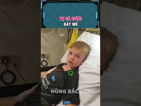 cá cược gây mê