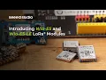 Introducing Wio-E5 and Wio-E5-LE LoRa Modules