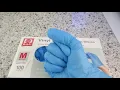 Basic Vinyl Exam Gloves Synmax Latex-Free Powder-Free Medical Disposable Gloves Review Demo
