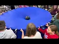 Number 12 Gravity Simulator