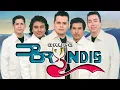 Lagu GRUPO BRYNDIS VIEJITAS PERO BONITAS MIX 2025 ~ GRUPO BRYNDIS SUS MEJORES CANCIONES MIX